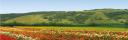 Vista en miniatura