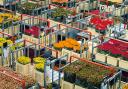 Vista en miniatura
